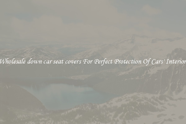 Wholesale down car seat covers For Perfect Protection Of Cars' Interior 