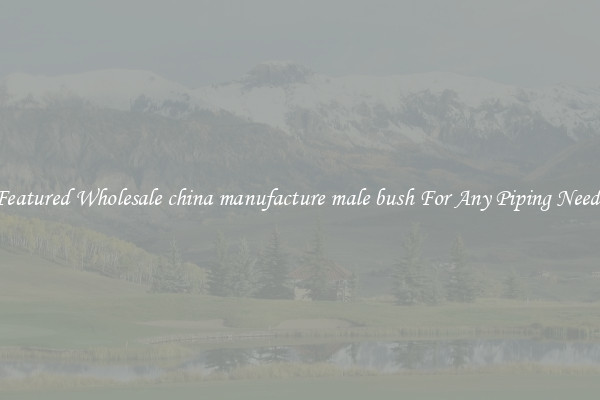 Featured Wholesale china manufacture male bush For Any Piping Needs