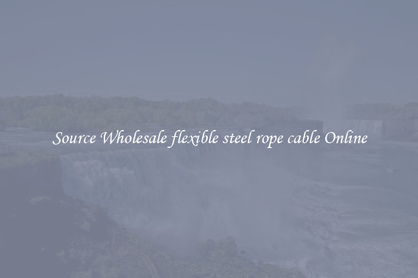 Source Wholesale flexible steel rope cable Online