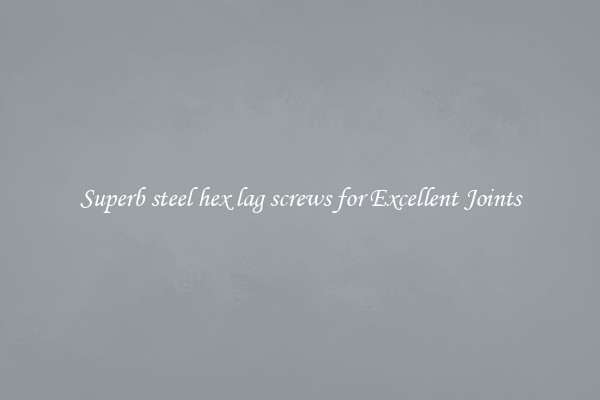 Superb steel hex lag screws for Excellent Joints