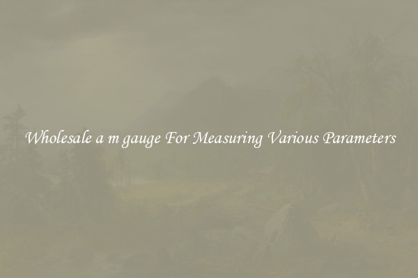 Wholesale a m gauge For Measuring Various Parameters
