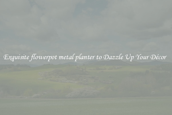 Exquisite flowerpot metal planter to Dazzle Up Your Décor  