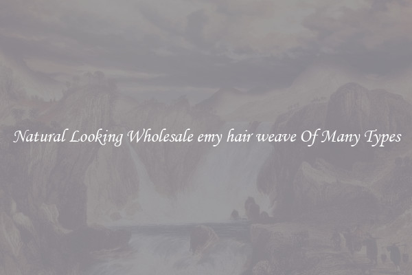 Natural Looking Wholesale emy hair weave Of Many Types