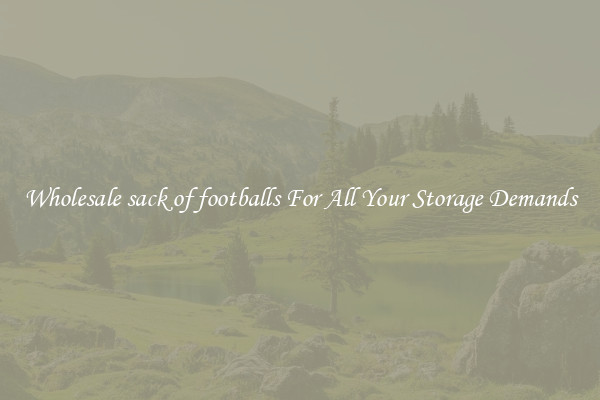 Wholesale sack of footballs For All Your Storage Demands