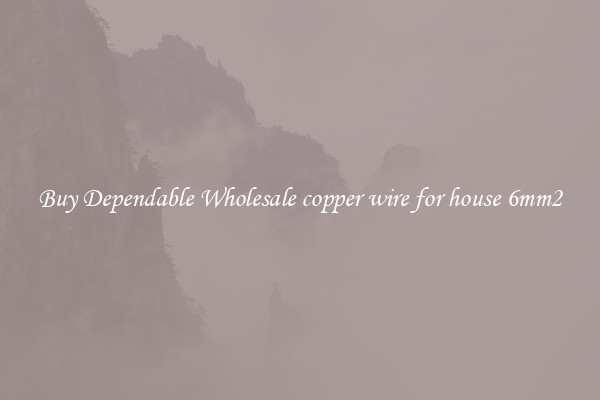 Buy Dependable Wholesale copper wire for house 6mm2