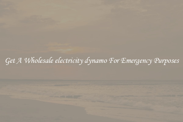 Get A Wholesale electricity dynamo For Emergency Purposes