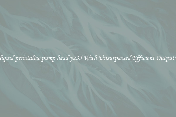liquid peristaltic pump head yz35 With Unsurpassed Efficient Outputs