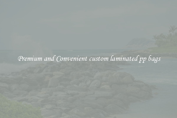 Premium and Convenient custom laminated pp bags