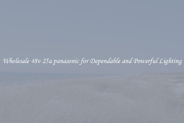 Wholesale 48v 25a panasonic for Dependable and Powerful Lighting