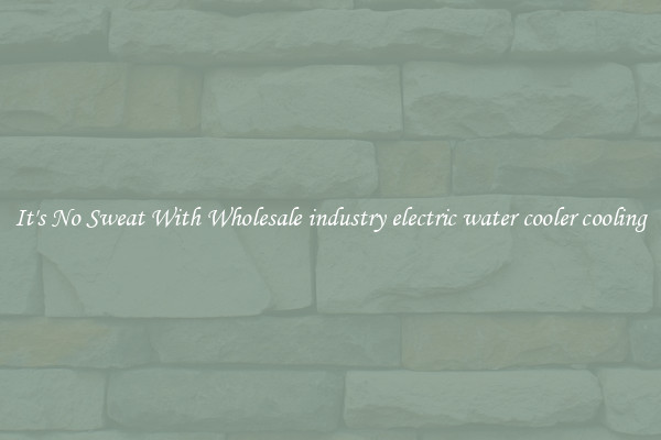 It's No Sweat With Wholesale industry electric water cooler cooling