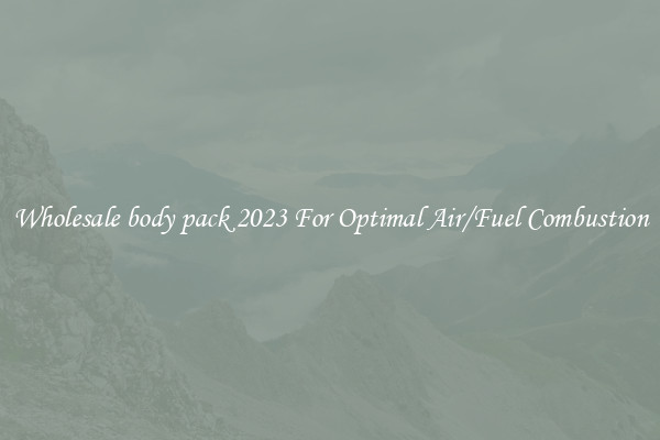 Wholesale body pack 2023 For Optimal Air/Fuel Combustion