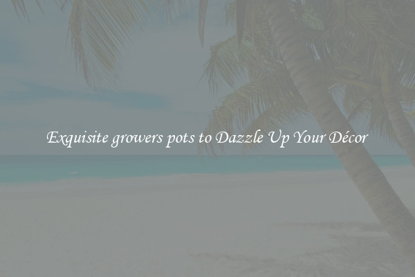 Exquisite growers pots to Dazzle Up Your Décor 