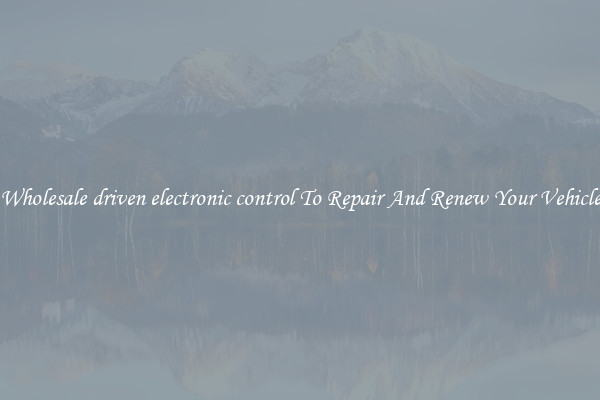 Wholesale driven electronic control To Repair And Renew Your Vehicle