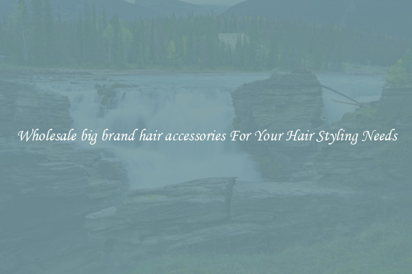 Wholesale big brand hair accessories For Your Hair Styling Needs