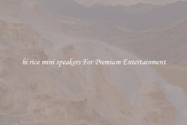 hi rice mini speakers For Premium Entertainment