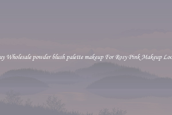 Buy Wholesale powder blush palette makeup For Rosy Pink Makeup Looks