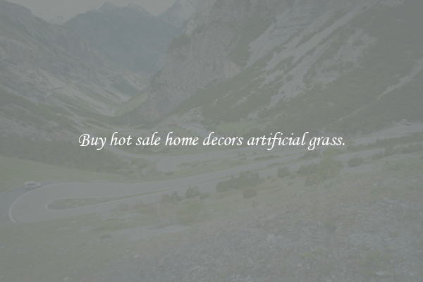 Buy hot sale home decors artificial grass.