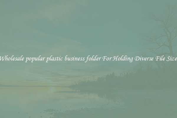 Wholesale popular plastic business folder For Holding Diverse File Sizes