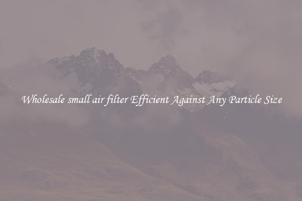 Wholesale small air filter Efficient Against Any Particle Size