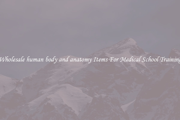 Wholesale human body and anatomy Items For Medical School Training