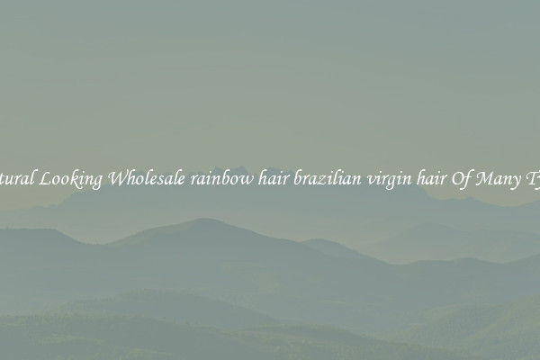 Natural Looking Wholesale rainbow hair brazilian virgin hair Of Many Types