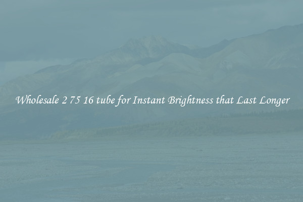 Wholesale 2 75 16 tube for Instant Brightness that Last Longer